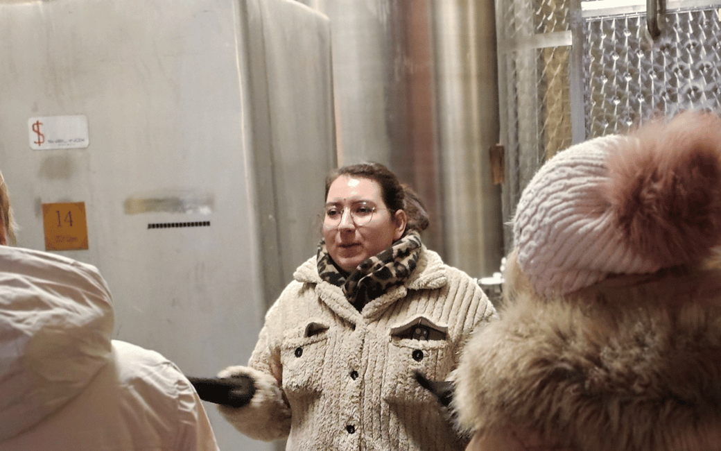 image n.2 of Alsace: Winery Tour and Alsatian Wine Tasting activity in Thann, uploaded by supplier