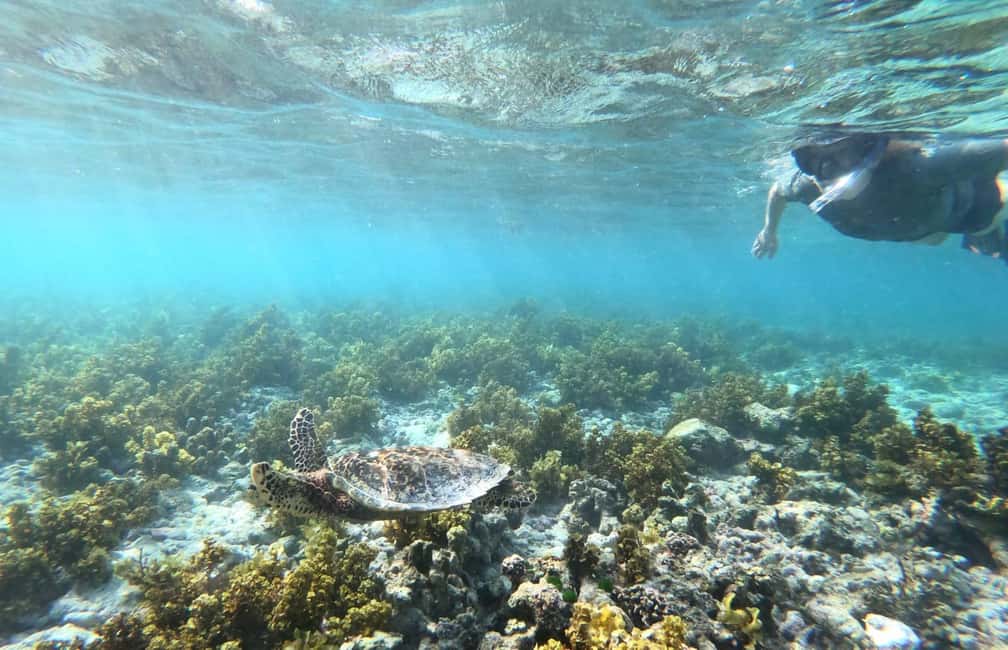 image n.8 of Praslin: Coco Felicite & La Digue Island Full-Day Boat Trip activity in Mahé, uploaded by supplier