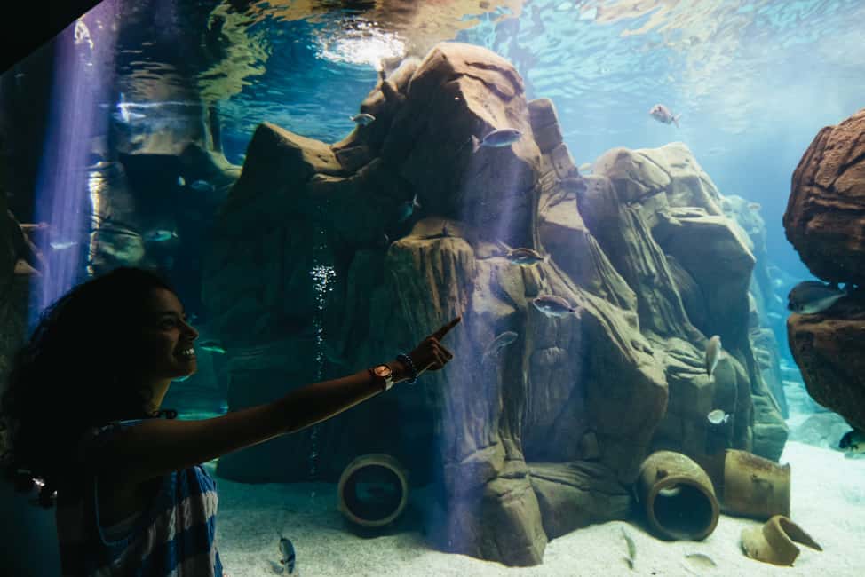 Bild Nr. 17 von Gebiet Heraklion: CRETAquarium Eintrittskarte Aktivität in Heraklion, hochgeladen vom Anbieter