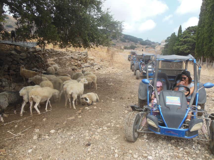 image n.2 of Buggy safari Crete (Transfer and lunch) analipsi- hersonisos activity in Neapolis, Crete, uploaded by supplier