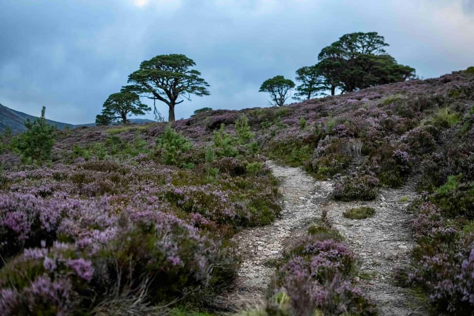 image n.2 of From Edinburgh: 4,000ft Mountain Hike - Scottish Highlands activity in Scottish Highlands, uploaded by supplier