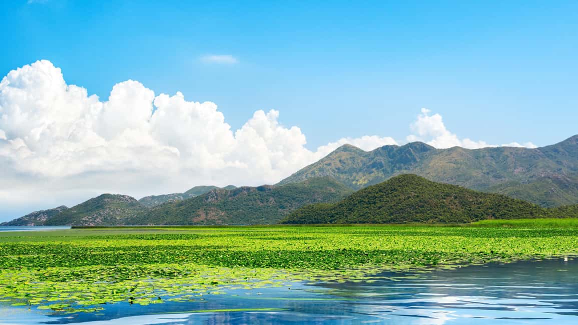 Bild Nr. 15 von Kotor: Tagestour und Bootsfahrt zum Skadar-See und Biograd Aktivität in Gusinje, hochgeladen vom Anbieter