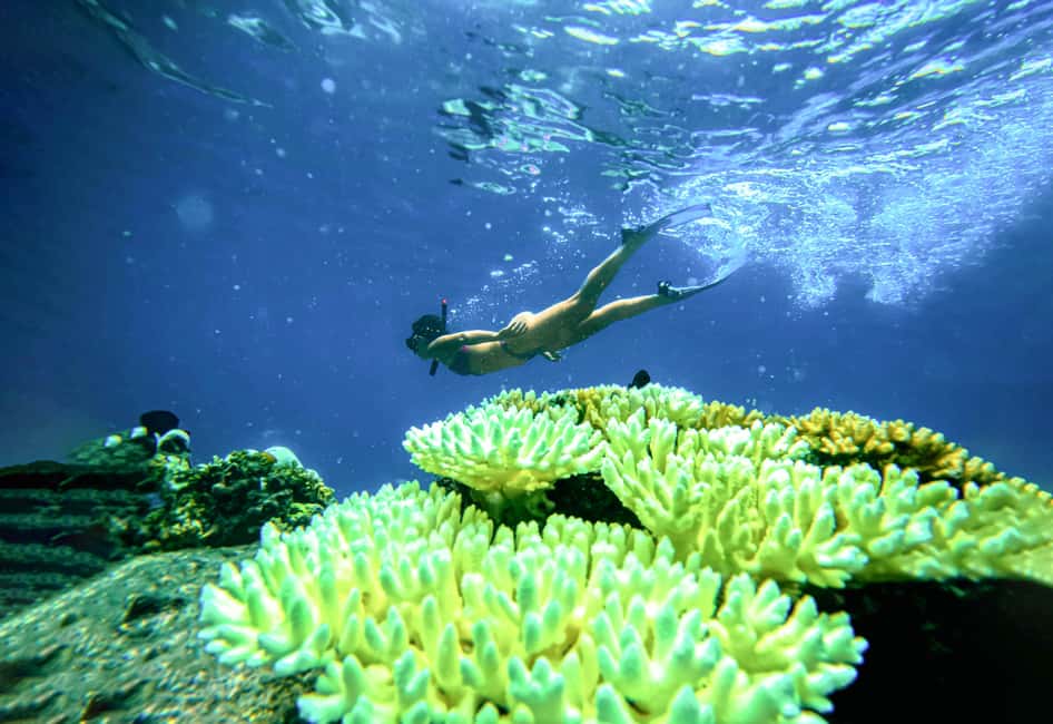 billede nr.13 af aktiviteten Privat charterbåd rundt i snorkelparadiset Koh Tao i Ko Tao, uploadet af udbyder