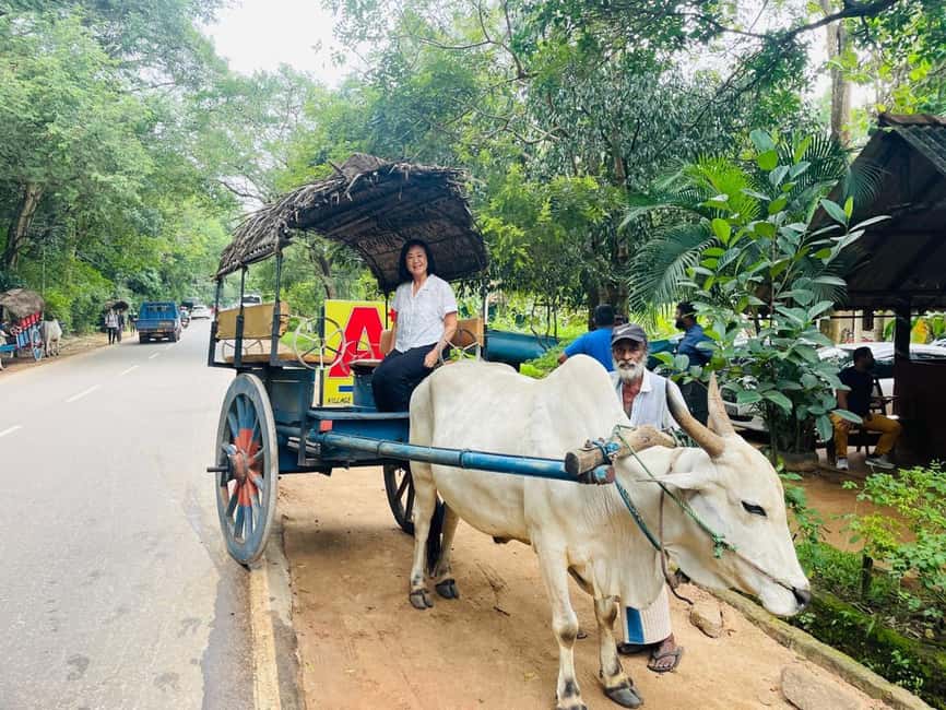 image n.30 of From Colombo: Sigiriya and Dambulla Day Trip and Safari activity in Sigiriya, uploaded by supplier