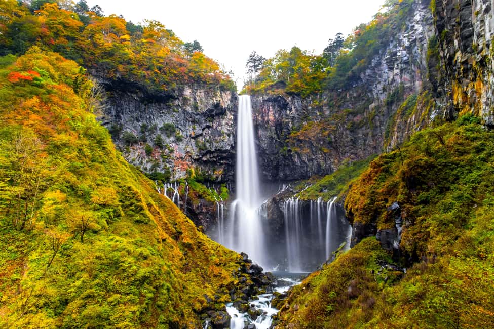 imagen n.º 3 de Tokio: Visita al Santuario Nikko Toshogu y a la Cascada Kegon actividad en Nikkō, subida por el proveedor