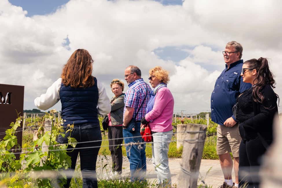 image n.3 of From Bordeaux: Afternoon Wine Tasting in the Medoc Region activity in Margaux, uploaded by supplier