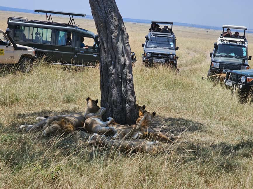 image n.9 of Mombasa: Tsavo East National Park Day Trip with Lunch activity in Coast Province, uploaded by supplier