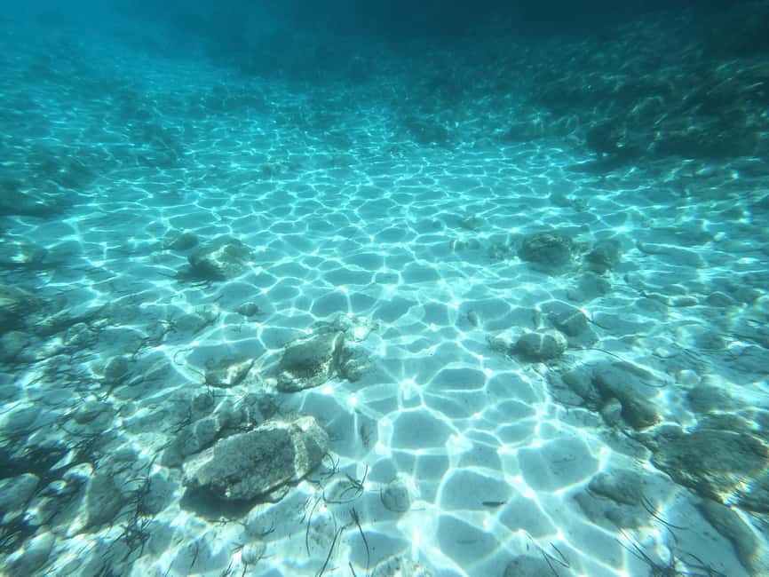 Obraz nr 9 z atrakcji Hvar: Prywatna wycieczka żaglówką z pływaniem i snorkelingiem w Dalmacja, przesłany przez organizatora