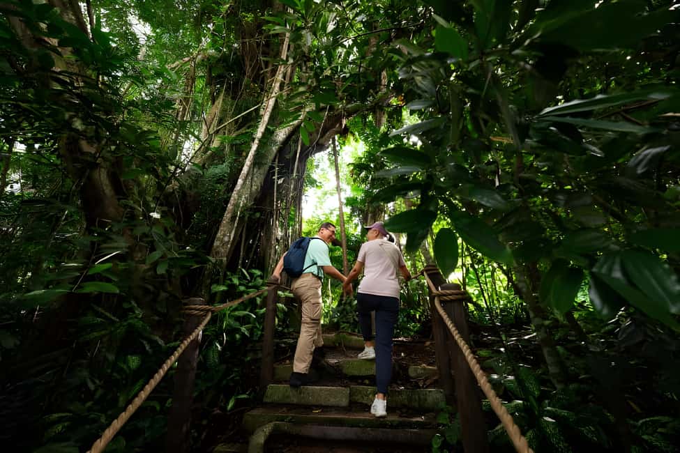imagen n.º 7 de Singapur Rainforest Wild Asia Ticket de entrada actividad en Singapur, subida por el proveedor