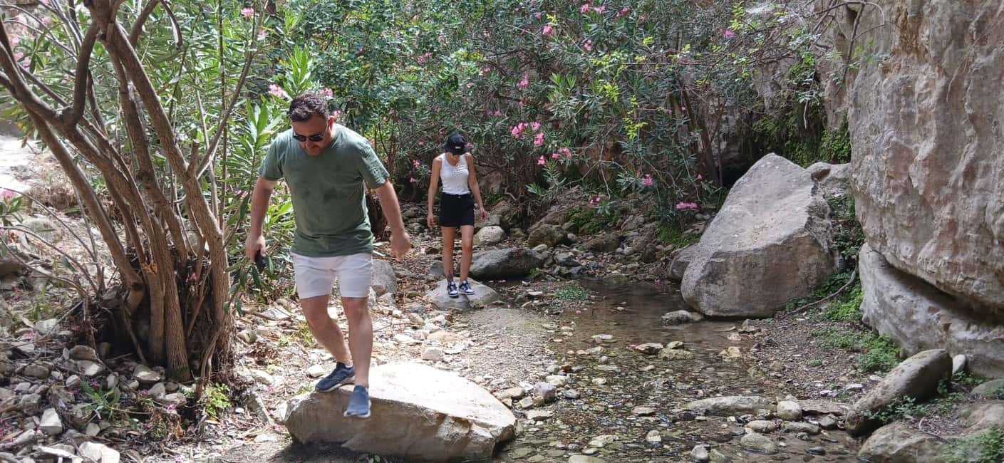 image n.7 of Paphos: Avakas Gorge & Turtle Bay Jeep Tour with Donkey Farm activity in Paphos District, uploaded by supplier