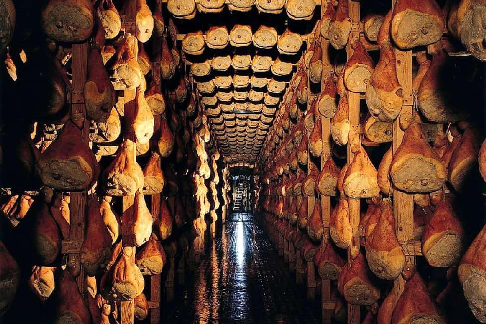image n.5 of From Parma: Parmesan, Parma Ham & Balsamic Vinegar Tour activity in Parma, uploaded by supplier