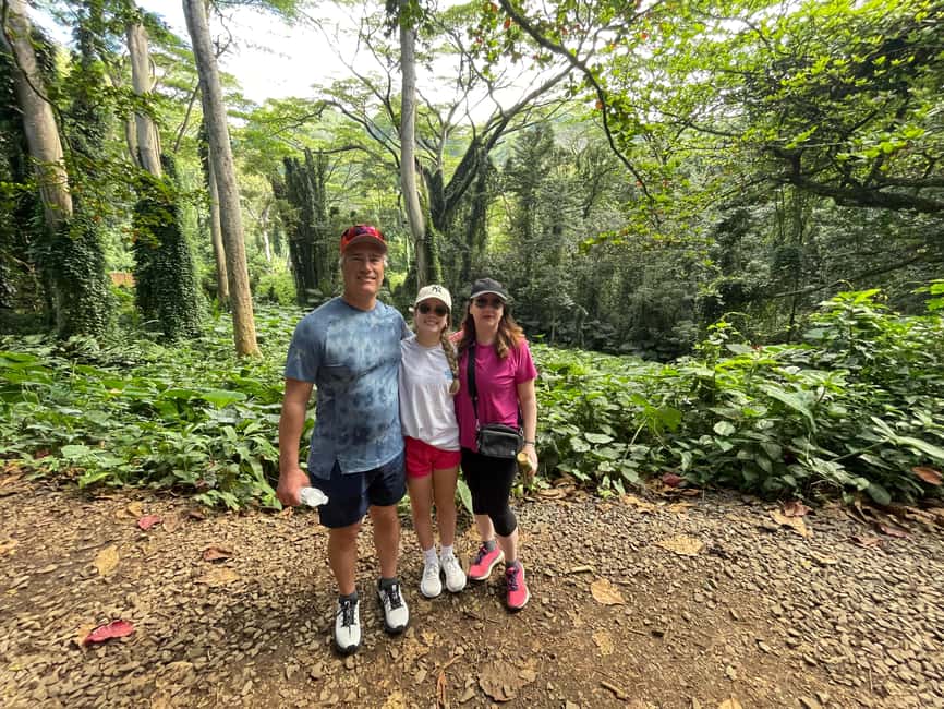 Immagine nº 48 di Oahu: Giro in bici elettrica a Waikiki ed escursione alle cascate di Manoa attività a Honolulu, caricata dal fornitore