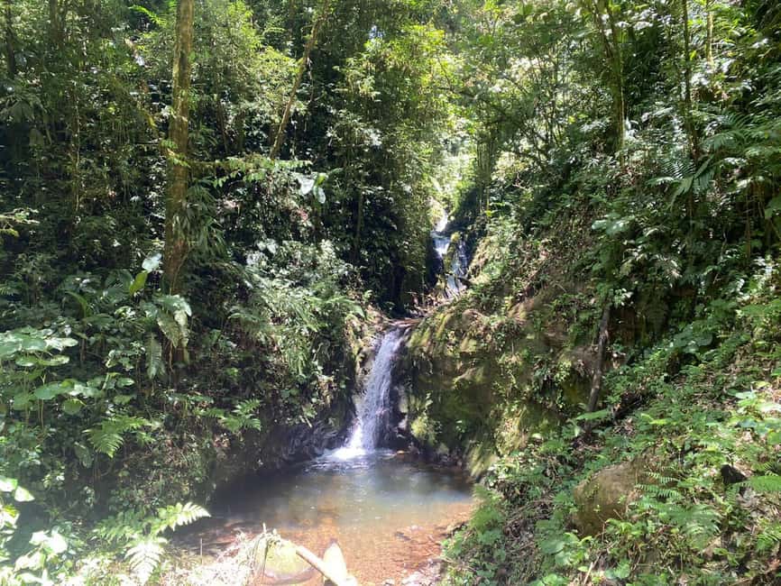 image n.11 of Monteverde: Cloud Forest Guided Walk activity in Monteverde, uploaded by supplier