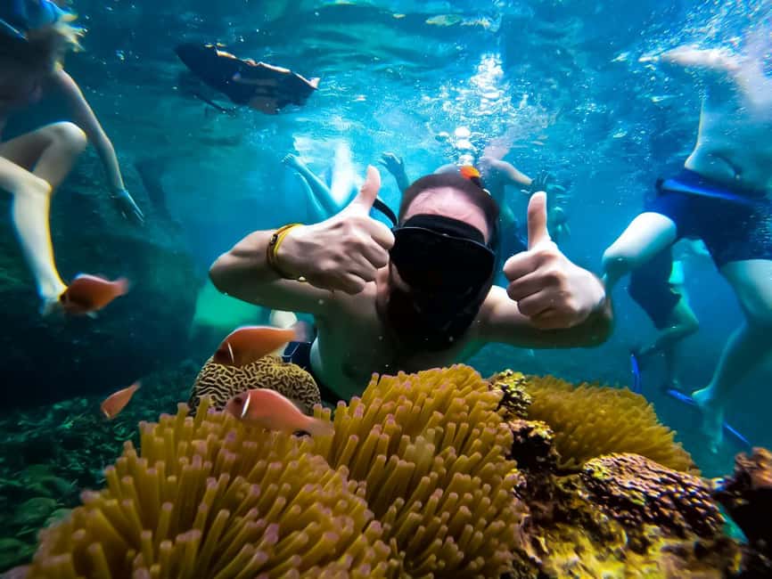 billede nr.20 af aktiviteten Ko Tao: Snorkeltur for senvågnere med frokost og fotos i Thailandbugten, uploadet af udbyder