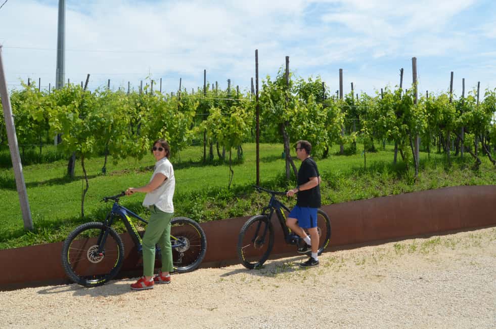 Obraz nr 16 z atrakcji Valdobbiadene: wycieczka z przewodnikiem na rowerach elektrycznych po wzgórzach Prosecco w Valdobbiadene, przesłany przez organizatora