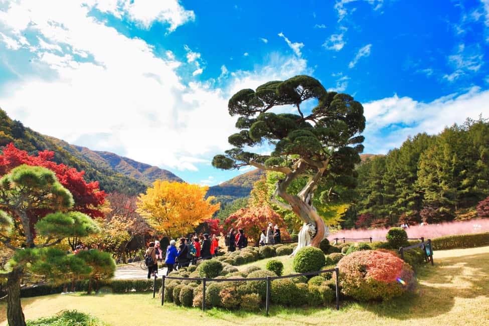 imagem n.17 de Seul: Tour Alpaca/Nami/Jardim da Manhã Calma (+ Bicicleta de comboio) atividade em Gapyeong-gun, carregada pelo fornecedor
