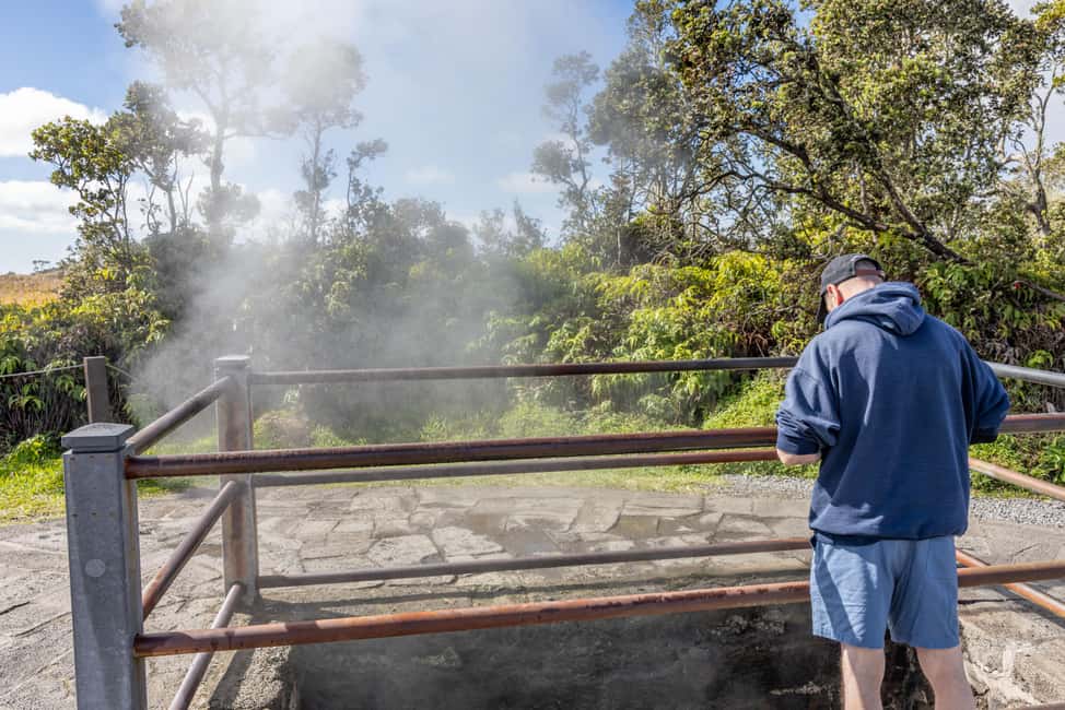 Immagine nº 23 di Hawaii: tour privato all-inclusive dei vulcani e delle cascate attività a Hilo, caricata dal fornitore