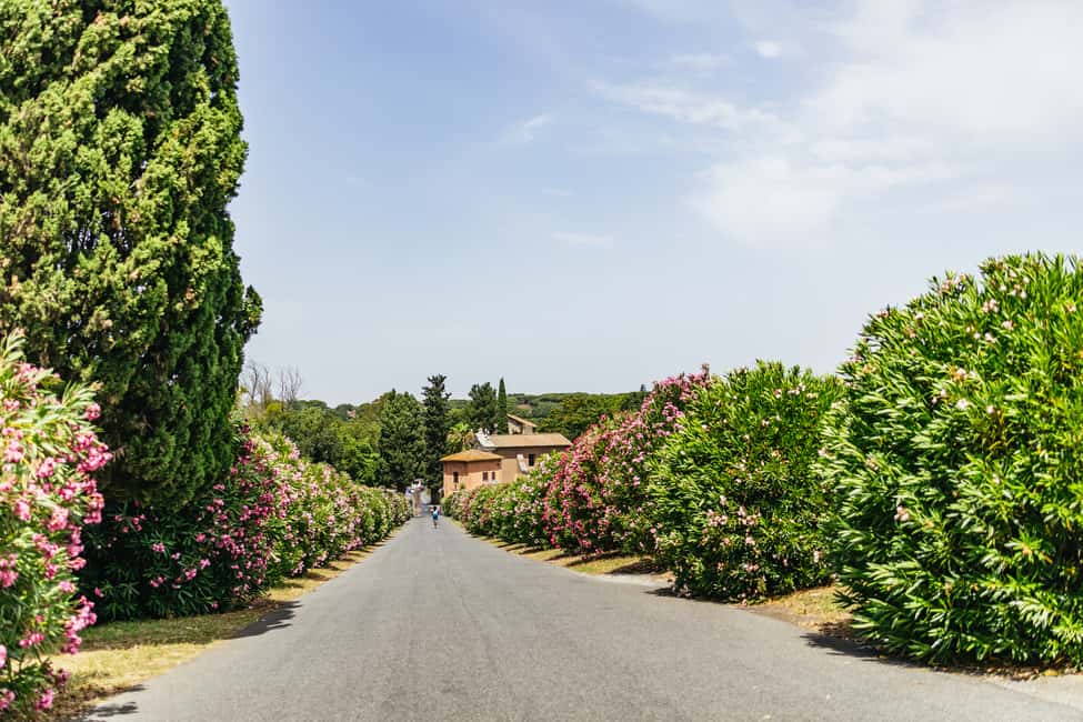 Bild Nr. 15 von Appia Antica: Ganztägiger Fahrradverleih mit anpassbaren Routen Aktivität in Rom, hochgeladen vom Anbieter