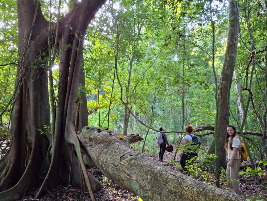Bild Nr. 3 von Bacalar: Tagestour zu den Calakmul-Ruinen mit einem Stopp im Dschungel Aktivität in Bacalar, hochgeladen vom Anbieter