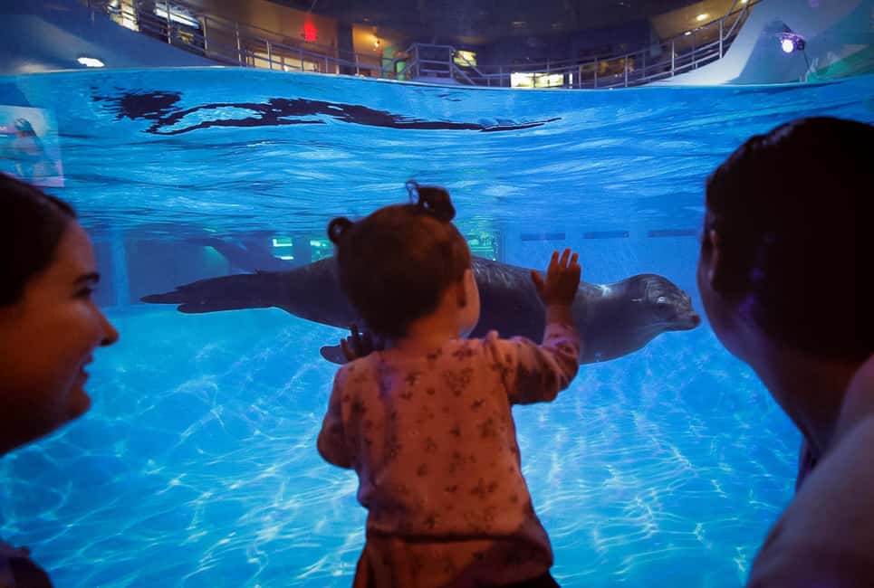 Obraz nr 2 z atrakcji Niagara: Aquarium of Niagara wstęp ogólny w Wodospad Niagara w USA, przesłany przez organizatora
