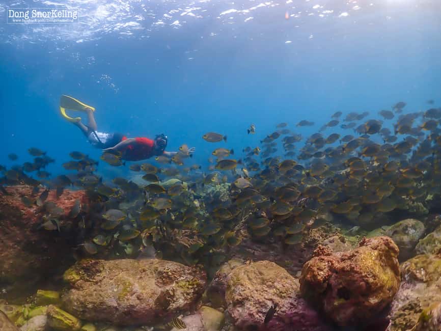 imagen n.º 6 de Bangkok: Excursión de un día a la Isla de Nemo con fotos de drones y almuerzo actividad en Pattaya, subida por el proveedor