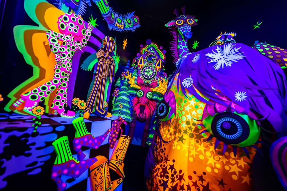 imagen n.º 3 de Houston: Meow Wolf - Radio Tave Ticket de entrada actividad en Houston, subida por el proveedor