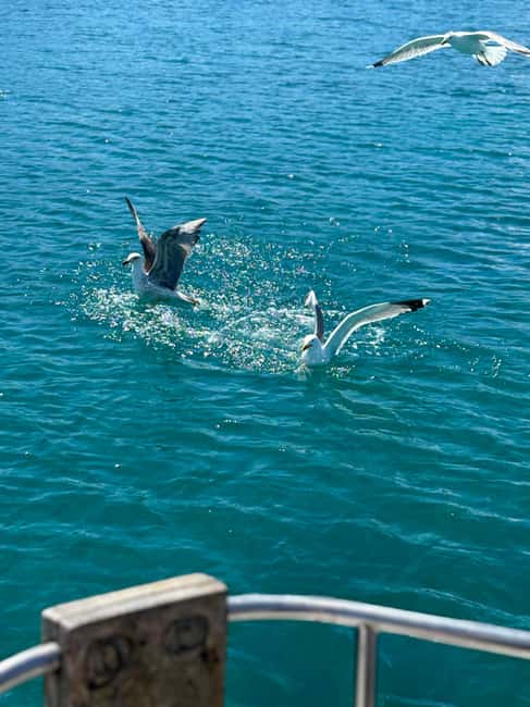 Immagine nº 9 di Da Palau:Tour in barca a vela nell'Arcipelago La Maddalena attività a Sardegna, caricata dal fornitore