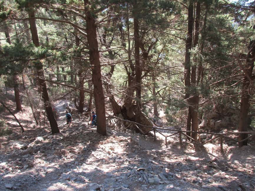 Immagine nº 42 di Da Rethymno: trekking di un giorno intero alle gole di Samaria, prelievo e guida attività a Rethymno, caricata dal fornitore