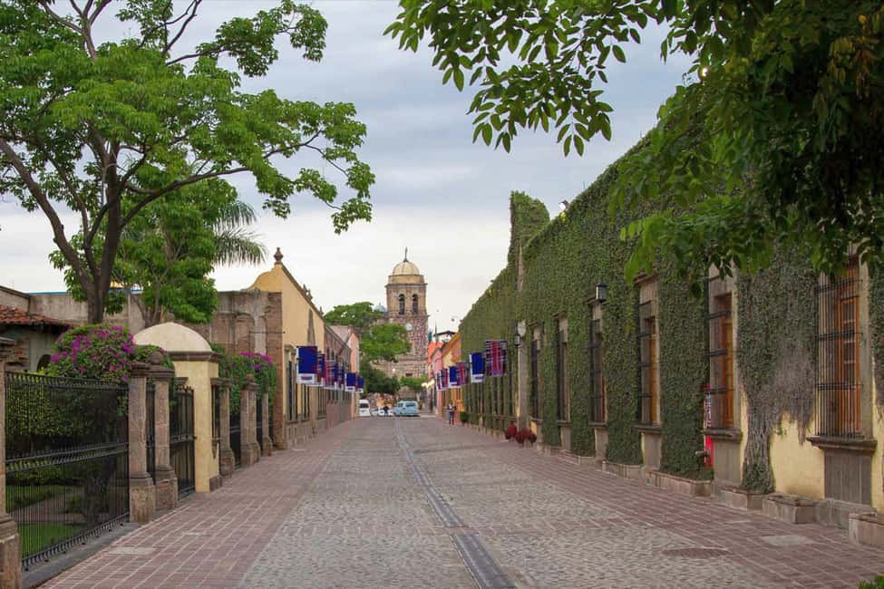image n.10 of From Guadalajara: La Rojeña Distillery & Jose Cuervo Train activity in Tequila, uploaded by supplier