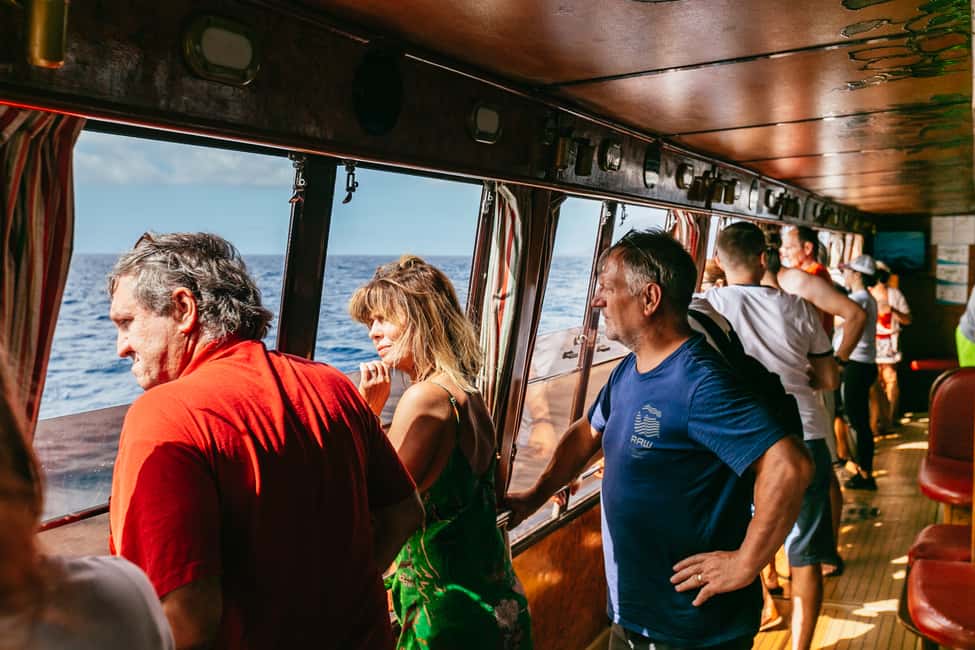 billede nr.13 af aktiviteten Adeje: Hval- og delfinsafari med frokost og svømmetur i Costa Adeje, uploadet af udbyder