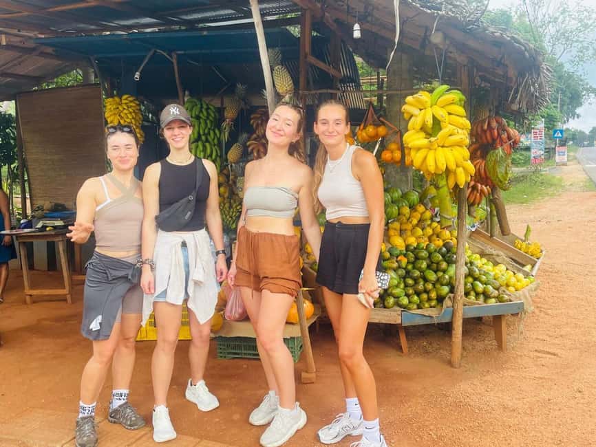 image n.27 of From Colombo: Sigiriya and Dambulla Day Trip and Safari activity in Sigiriya, uploaded by supplier