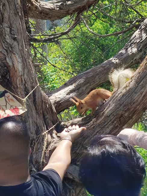 billede nr.21 af aktiviteten Ala Archa National Park: Vandretur og udendørs eventyr i Bishkek, uploadet af udbyder