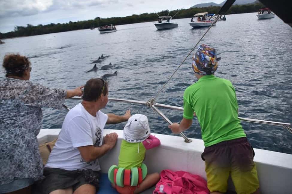 image n.11 of Black River: Swim with Dolphin Speed Boat Tour with lunch activity in Mauritius, uploaded by supplier