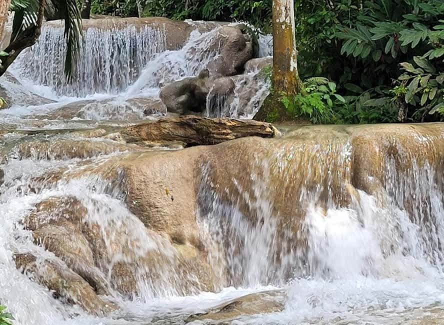 imagem n.11 de De Montego Bay: Bob Marley 9 milhas e passeio pelas cataratas do rio Dunns atividade em Ocho Rios, carregada pelo fornecedor