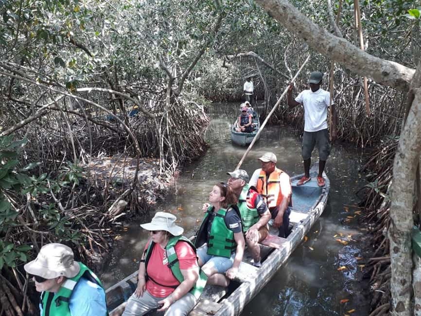 image n.1 of Cartagena: Sail in the mangroves of Cartagena activity in Cartagena, uploaded by supplier