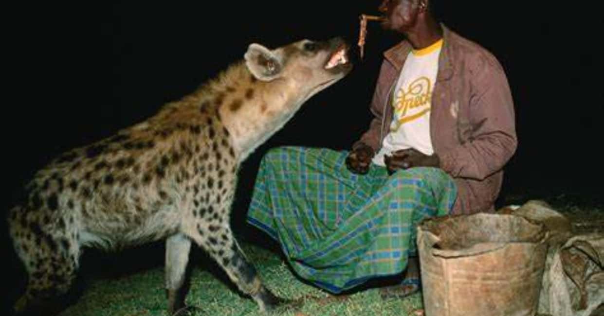image n.1 of From Addis Ababa: 4-Day Harar and Lalibela Tour activity in Harar, Ethiopia, uploaded by supplier