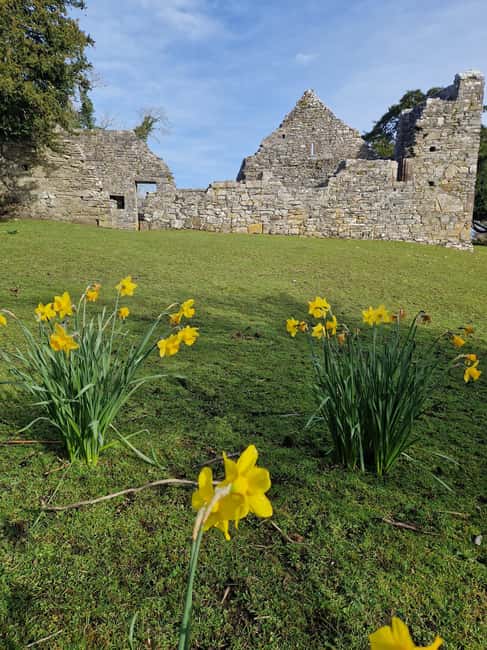 Obraz nr 9 z atrakcji Killarney: Rejs wycieczkowy na wyspę Innisfallen, jeziora Killarney w Munster, przesłany przez organizatora