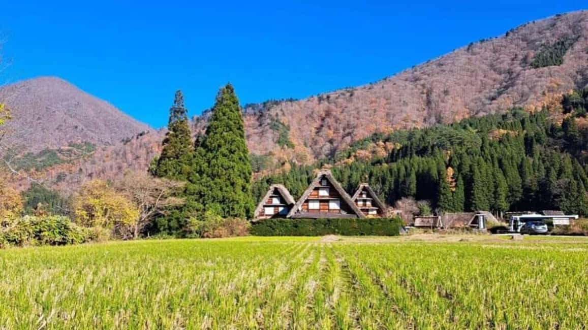 サプライヤーによってアップロードされた、高山の大阪発：プライベート白川郷・高山ツアーの画像#3