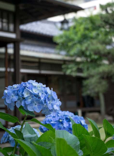 image n.5 of 1-Day Tour: Nagoya Castle, Gardens & Historic Estate activity in Nagoya, uploaded by supplier
