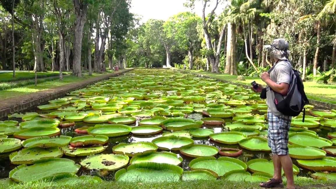 image n.3 of Mauritius: Port Louis and Northern Highlights Full-Day Trip activity in Port Louis, uploaded by supplier