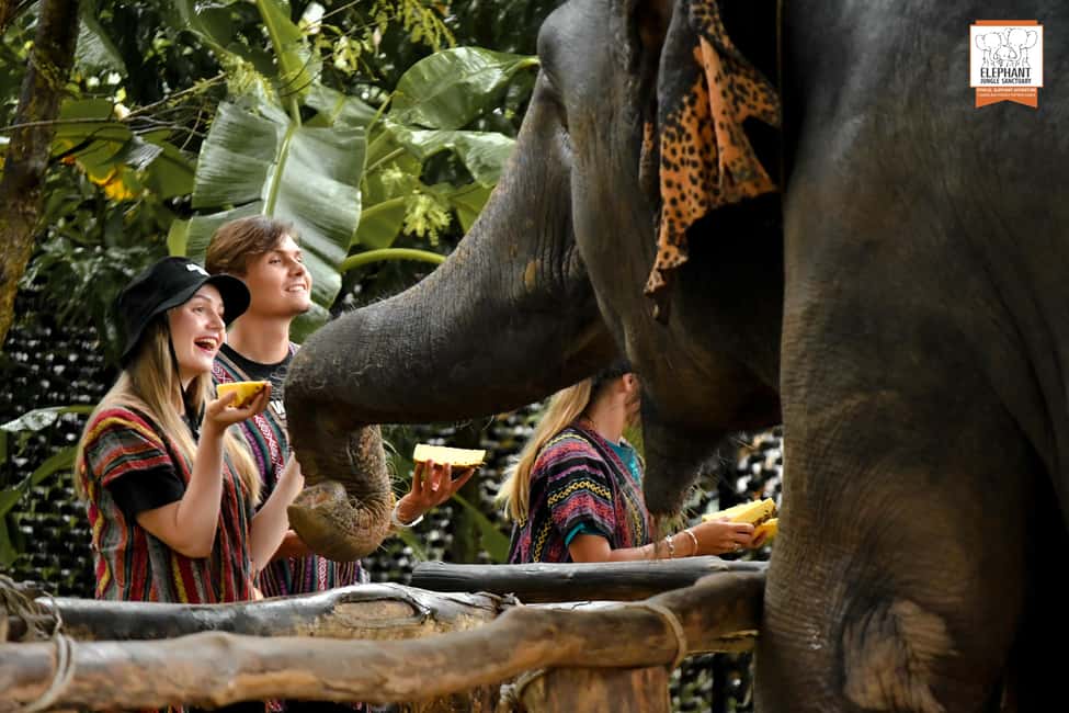 billede nr.1 af aktiviteten Phuket: Oplevelse af etisk fodring i Elephant Jungle Sanctuary i Kathu, Phuket, uploadet af udbyder
