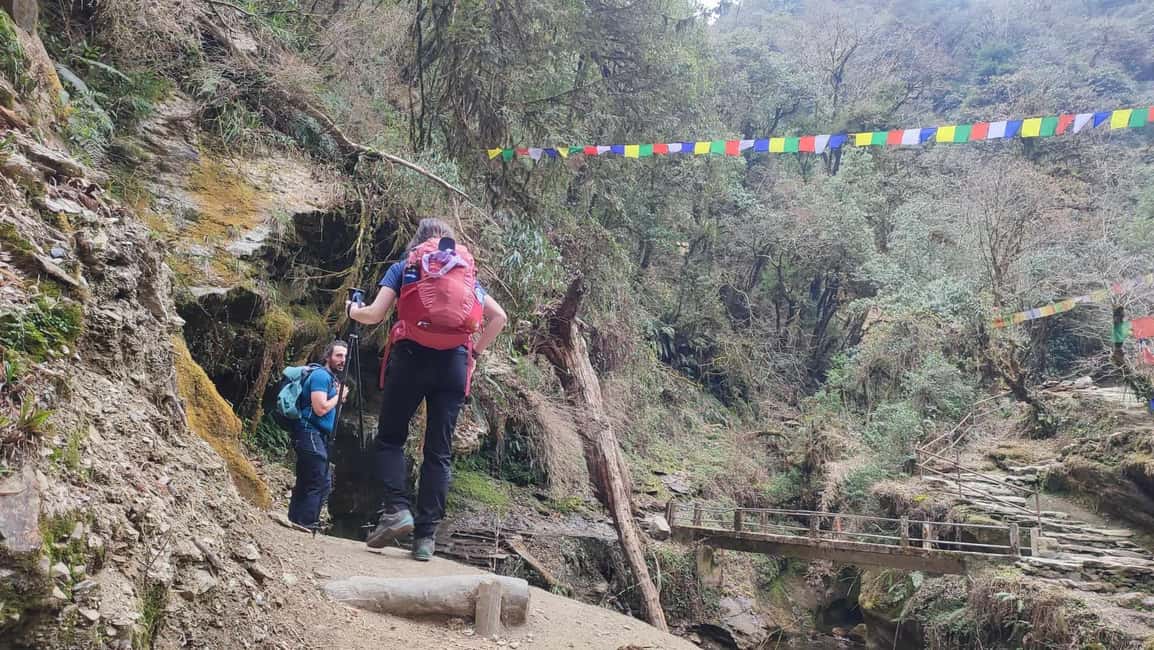 image n.6 of Ghorepani Poon Hill Trek - 4 Days (Full Package) activity in Pashchimanchal, Western Region, uploaded by supplier