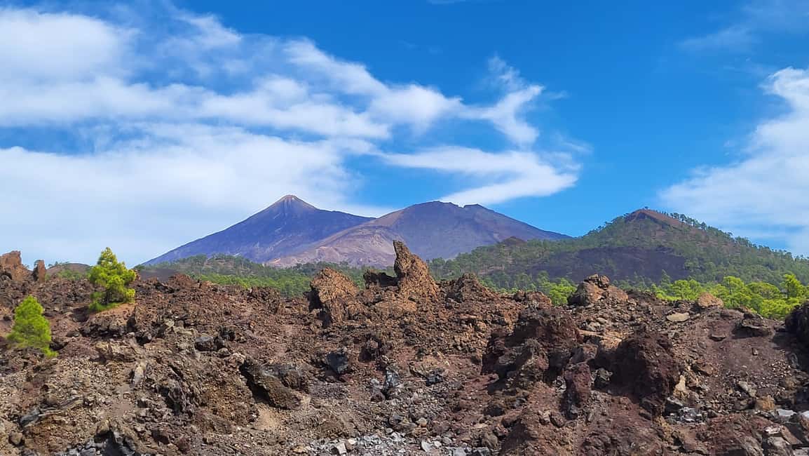 billede nr.7 af aktiviteten Teide National Park and Vilaflor; local wine tasting i Kanarieøerne, uploadet af udbyder