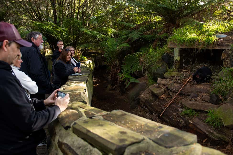 image n.29 of Hobart: Port Arthur, Richmond & Tassie Devil - Active Tour activity in Tasmania, uploaded by supplier