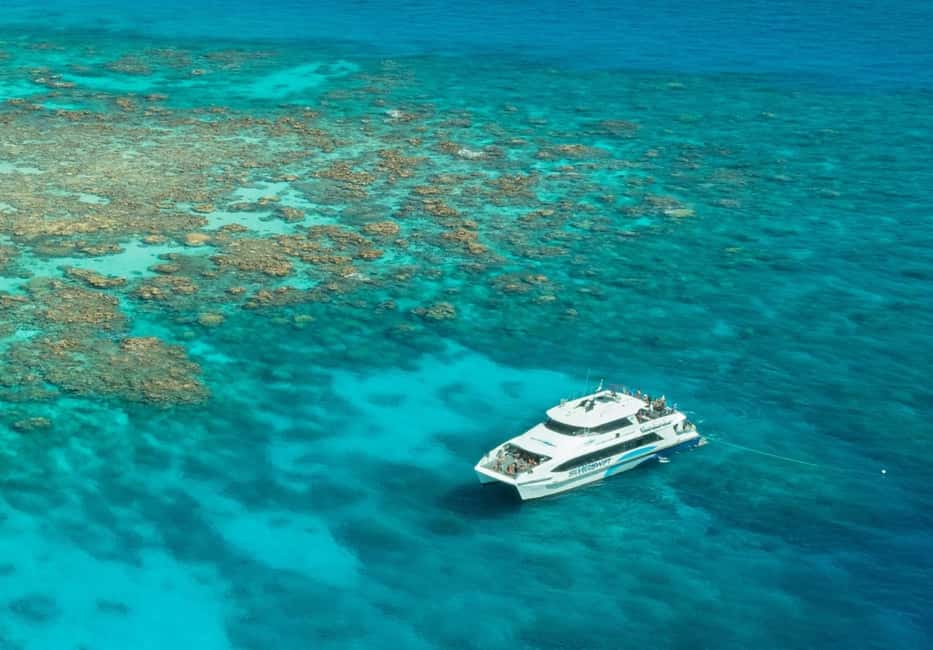 image n.5 of From Cairns: Great Barrier Reef Snorkel & Dive Adventure activity in Cairns, uploaded by supplier
