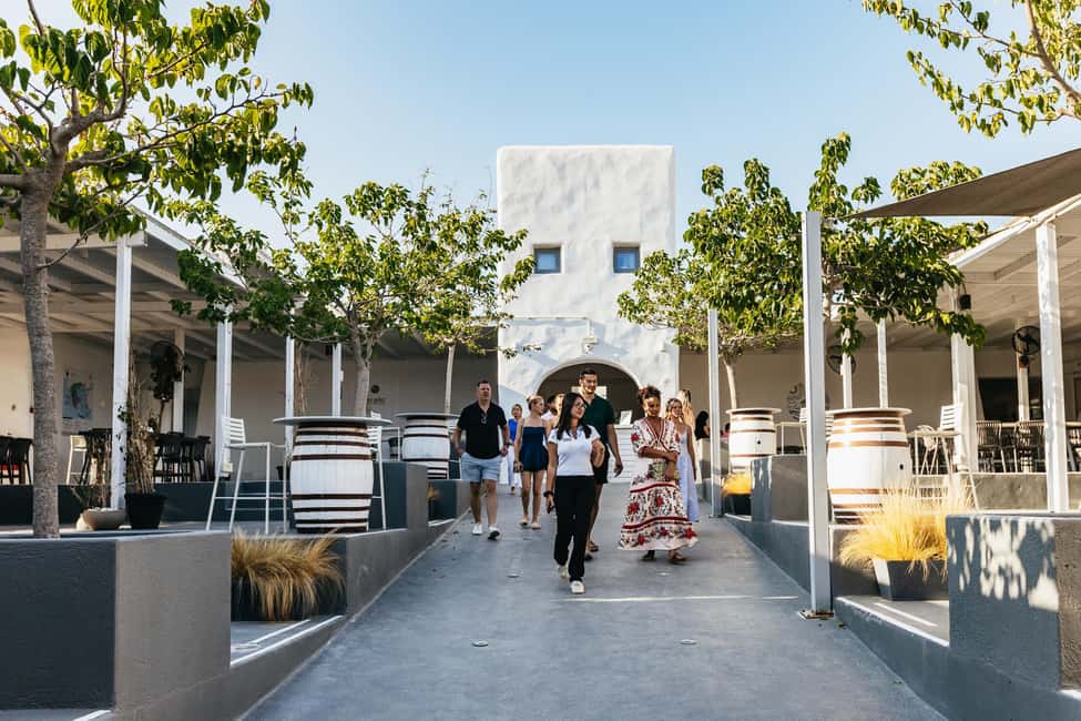 imagen n.º 7 de Santorini: tour de vino al atardecer para grupos pequeños con bodega Santo actividad en Cícladas, subida por el proveedor
