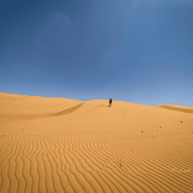 Immagine nº 1 di Muscat: tour di un giorno nel deserto di Wahiba Sands e Wadi Bani Khalid attività a Regione al-Sharqiyya, caricata dal fornitore