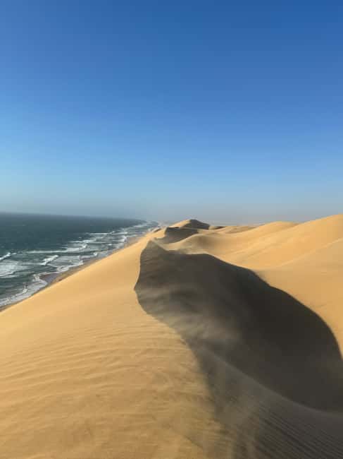 image n.96 of Walvisbay: Sandwich Harbour 4x4 Tour-Unparalleled Experience activity in Erongo, uploaded by supplier