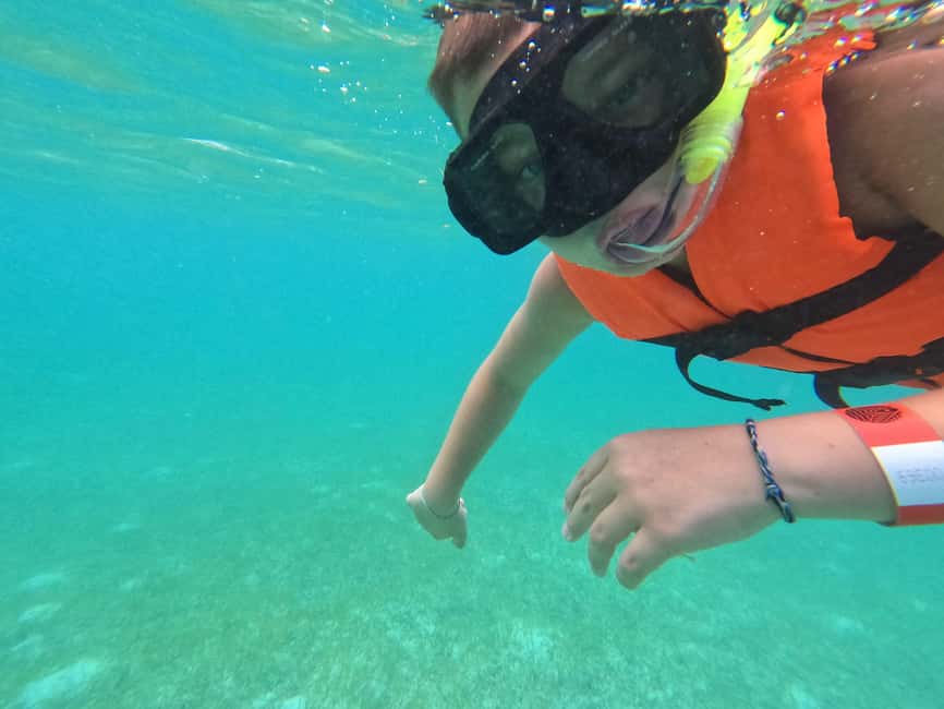 afbeelding n.23 van Akumal: Snorkelen met zeeschildpadden en koralen activiteit in Akumal, geüpload door aanbieder
