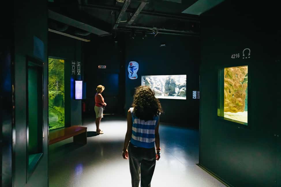 Bild Nr. 15 von Gebiet Heraklion: CRETAquarium Eintrittskarte Aktivität in Heraklion, hochgeladen vom Anbieter